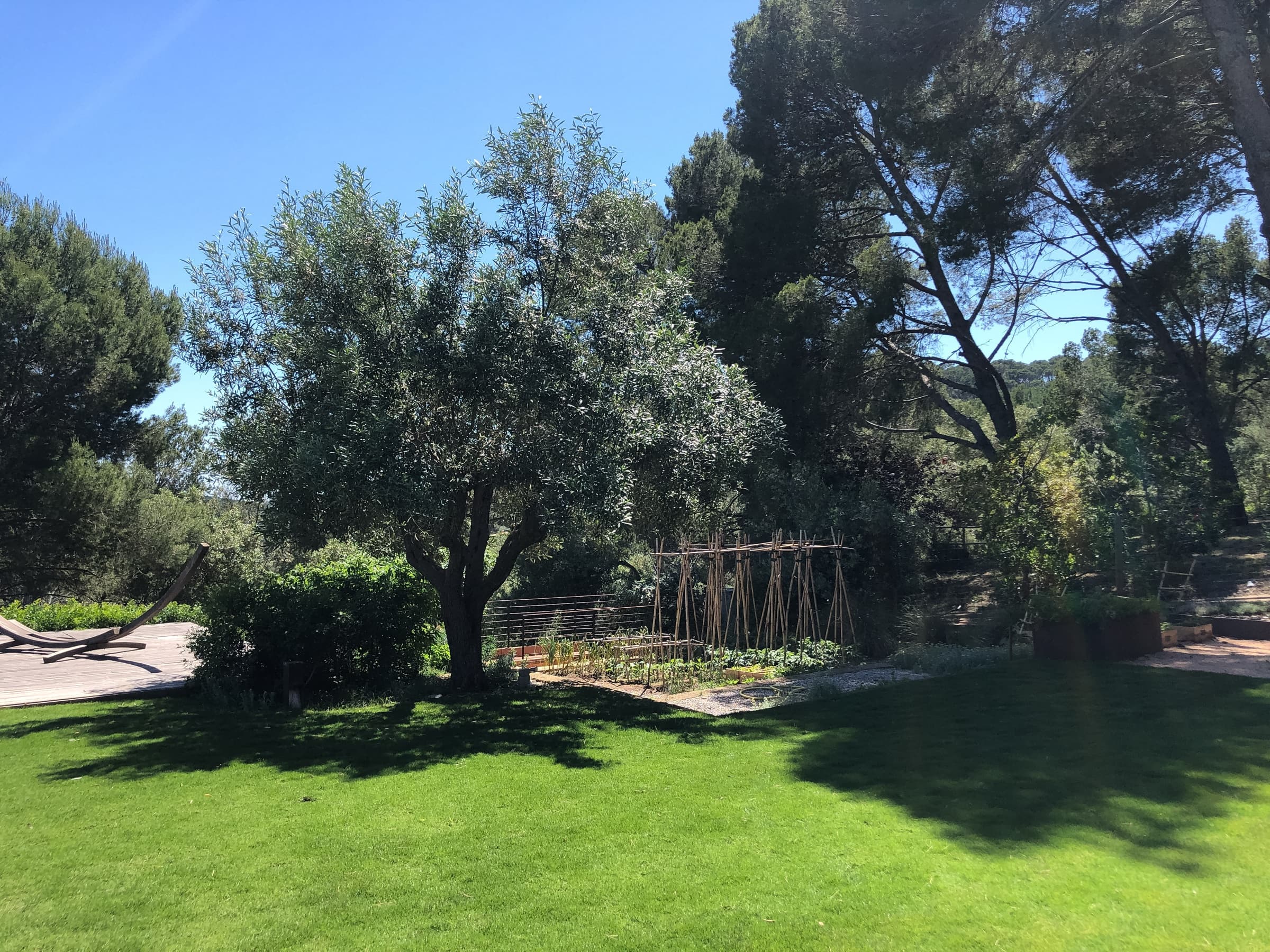 Vegetable Garden